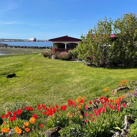 Alka - Cozy Room By The Sea With Private Hot Tub Njarthvik Exteriör bild