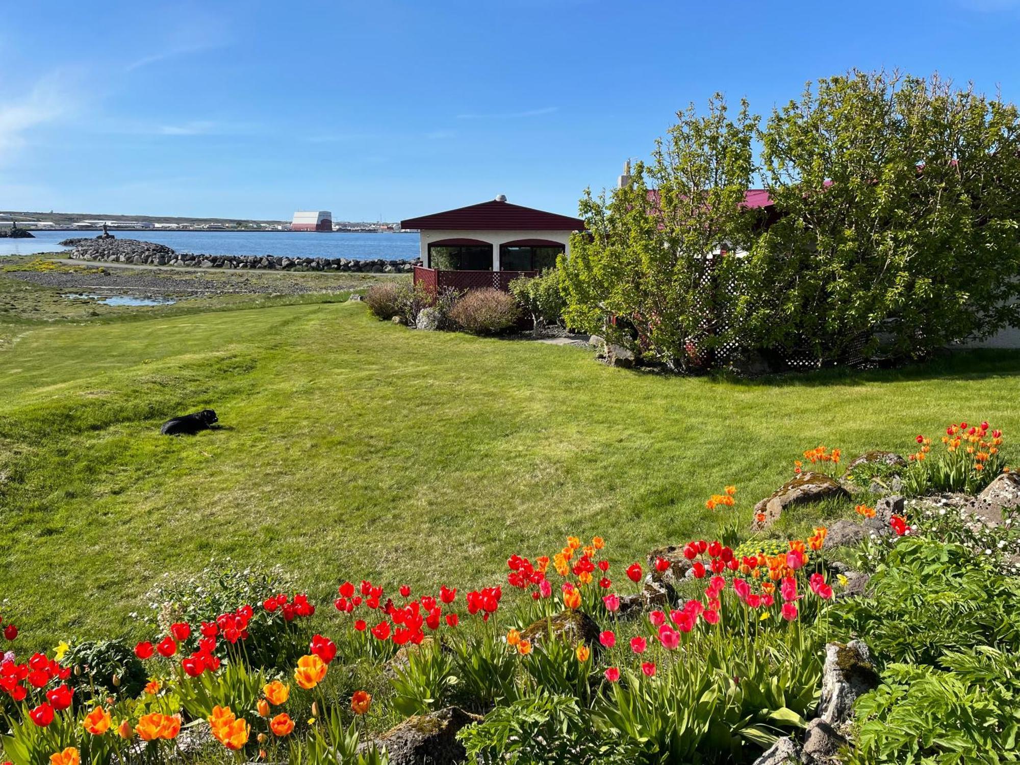 Alka - Cozy Room By The Sea With Private Hot Tub Njarthvik Exteriör bild